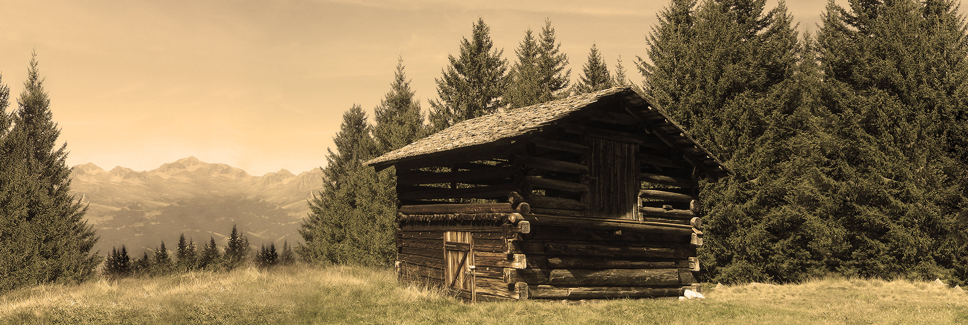 Holzbau Lenz